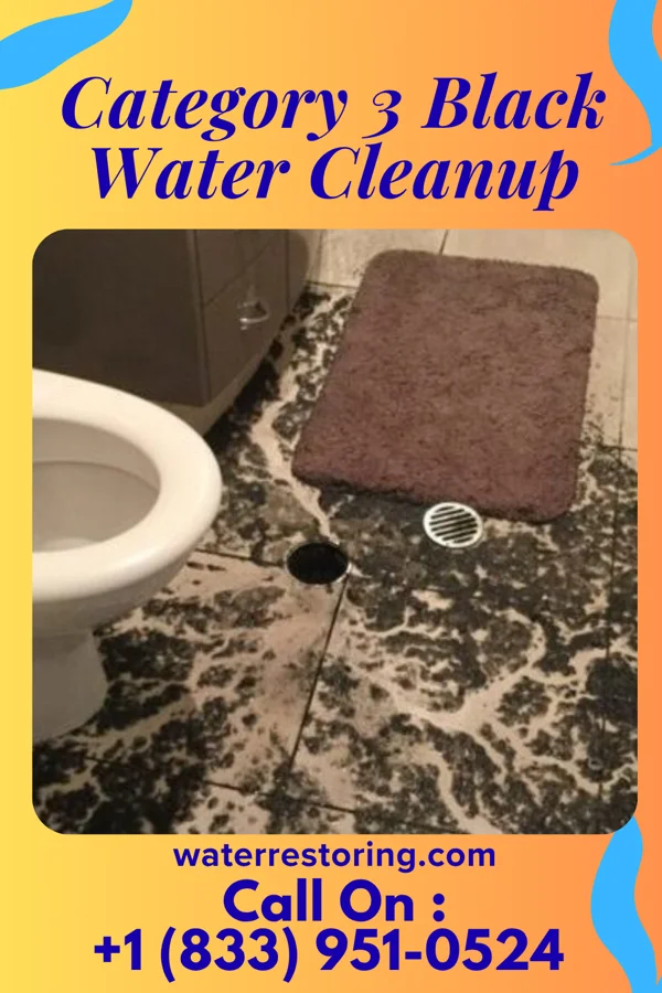 Category 3 Black Water Cleanup in Orchard Homes, MT