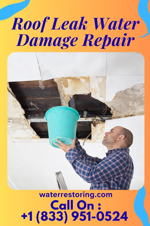 Roof Leak Water Damage Repair in Orchard Homes, MT